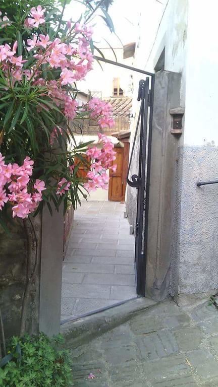 Casa Traquandi Apartment Castiglion Fiorentino Bagian luar foto